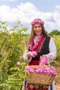 Girl picking Bulgarian pink roses in a garden
