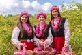 Girls picking Bulgarian pink roses in a garden