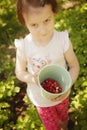 Girl picking strawberry in a field. Selective focus on berrys. Royalty Free Stock Photo