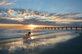 Girl picking up seashells on the beach. Royalty Free Stock Photo