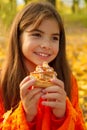 Girl pie picnic Royalty Free Stock Photo