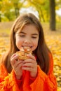 Girl pie picnic Royalty Free Stock Photo