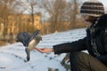 Girl and pigeon Royalty Free Stock Photo