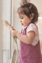 A girl in a pink sundress holds a tulip. A child is standing at the window. Royalty Free Stock Photo