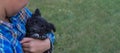 A girl in a plaid blue shirt is holding her little black dog. Banner. A beautiful puppy looks at the camera. The girl gently hugs Royalty Free Stock Photo