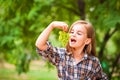 Girl in a plaid shirt and jeans holding a bunch of green grapes close-up. Concept of harvesting a plantation of grapes and a girl Royalty Free Stock Photo