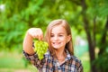 Girl in a plaid shirt and jeans holding a bunch of green grapes close-up. Concept of harvesting a plantation of grapes and a girl