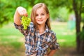 Girl in a plaid shirt and jeans holding a bunch of green grapes close-up. Concept of harvesting a plantation of grapes and a girl