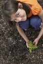 Girl Planting Black Locust Tree Royalty Free Stock Photo