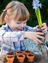 Girl planting flower bulbs Royalty Free Stock Photo