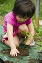 Girl planting seedling