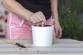 The girl plants flower bulbs in the ground in a pot. Plant flowers. Grows at home