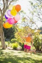 Girl playing with balloons in the park Royalty Free Stock Photo