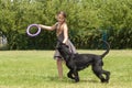 Girl playing with a big dog Royalty Free Stock Photo