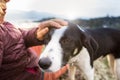 Girl playing with a dog while traveling Royalty Free Stock Photo