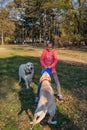 The girl is playing with a dogs Golden Retriever and frisbee in the park Royalty Free Stock Photo