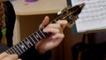 Girl playing the lute, domra close-up