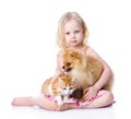 Girl playing with pets - dog and cat. looking at camera. isolate Royalty Free Stock Photo