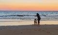 Girl playing and running on the beach with her dog Royalty Free Stock Photo