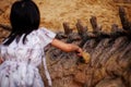 A girl playing in a sandbox with a modeled dinosaur fossil, brushing sand off the fossil Royalty Free Stock Photo