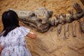 A girl playing in a sandbox with a modeled dinosaur fossil, digging sand off the fossil Royalty Free Stock Photo