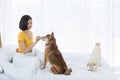 A girl playing with a Shiba Inu in a white bedroom with a morning sunshine window