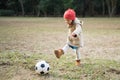 Girl playing with a soccer ball Royalty Free Stock Photo