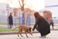 Girl plays with a dog on a walk. A woman is walking a puppy. Pets concept