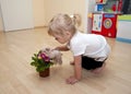 Girl plays with flower and toy dog