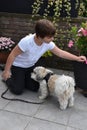 Cute girl and her friend a small havanese dog