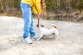 A girl plays with a stick with a dog in the park on the sandy path in summer.