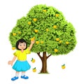 Girl plucking fruits from tree. Fruit tree vector illustration.