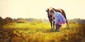 Girl and ponies