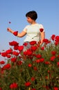 Girl on the poppies field looking on the alone poppy