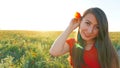 Girl on the poppy fields. Red flowers with green stems, huge fields. Bright sun rays. Royalty Free Stock Photo