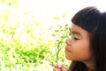 Girl flower field nature. Royalty Free Stock Photo