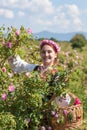 Girl posing during the Rose picking festival in Bulgaria Royalty Free Stock Photo