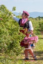 Girl posing during the Rose picking festival in Bulgaria Royalty Free Stock Photo