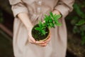 Girl with a pot of azaleas