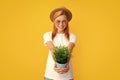 Girl potted plants on yellow studio. Woman planting flowers in pot.