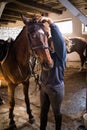 Girl preparing her horse Royalty Free Stock Photo