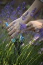 Girl pruning lavender bush in garden