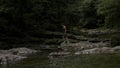 A girl in puffy shorts in nature.Creative.A young woman jumps on stone through a stream in the jungle. Royalty Free Stock Photo