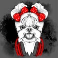 Girl puppy with cute bows. Yorkshire Terrier. Vector illustration