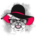 Girl puppy in a hat. Yorkshire Terrier. Vector illustration Royalty Free Stock Photo