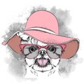 Girl puppy in a hat. Yorkshire Terrier. Vector illustration Royalty Free Stock Photo