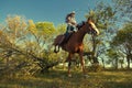 Girl with purebred horse Royalty Free Stock Photo