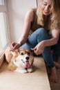 Girl puts on glasses on a dog. Funny Welsh Corgi Pembroke puppy with glasses at home, cute smiling dog Royalty Free Stock Photo