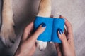 Girl putting bandage on injured dog paw Royalty Free Stock Photo