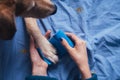 Girl putting bandage on injured dog paw Royalty Free Stock Photo